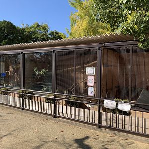 Capuchin and Tamandua Enclosures (Himeji City Zoo)
