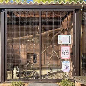 Southern Tamandua Enclosure (Himeji City Zoo)