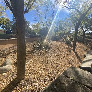 2nd view of meerkat enclosure