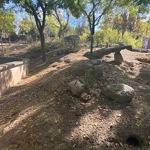 3rd view of meerkat enclosure