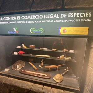 Display about illegal animal products