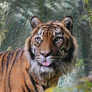 Jaya's final photo 9/10/25