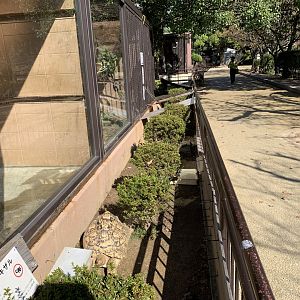 Tortoise Exhibit (Himeji City Zoo)