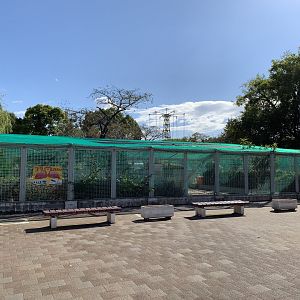 Chilean Flamingo Enclosure (Himeji City Zoo)