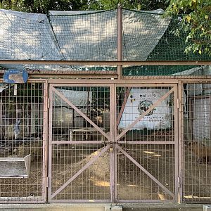 Capybara Enclosure (Himeji City Zoo)