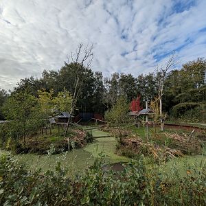 New red panda enclosure