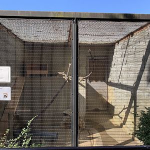 Japanese Marten Enclosure (Himeji City Zoo)