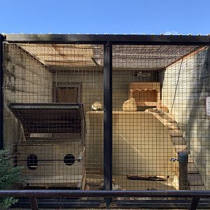 Red Fox Enclosure(Himeji City Zoo)