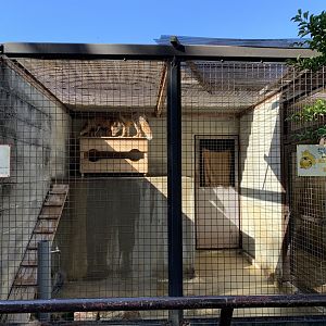 Red Fox Enclosure (Himeji City Zoo)