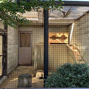 Empty Carnivore Enclosure (Himeji City Zoo)