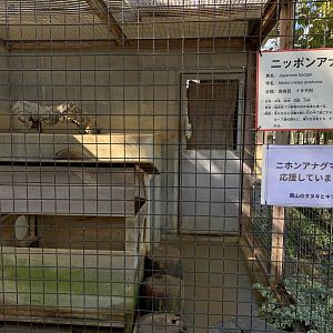 Japanese Badger Enclosure (Himeji City Zoo)