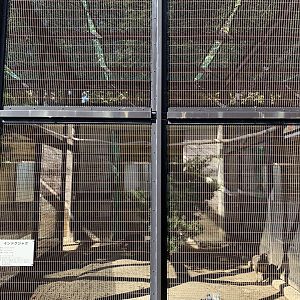 Indian Peafowl Enclosure (Himeji City Zoo)