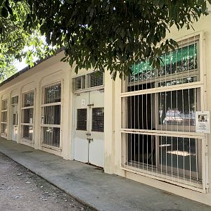 Large Carnivore Night Quarters Viewing (Himeji City Zoo)