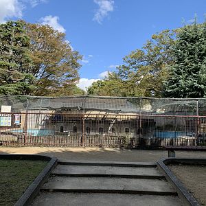 Magellanic Penguin Enclosure (Himeji City Zoo)
