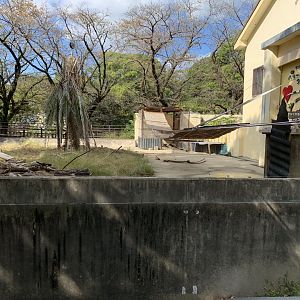 Crested Porcupine Exhibit (Himeji City Zoo)