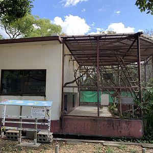 Black-capped Squirrel Monkey Enclosure (Himeji City Zoo)