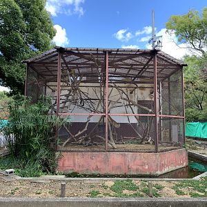 Black-capped Squirrel Monkey Enclosure (Himeji City Zoo)