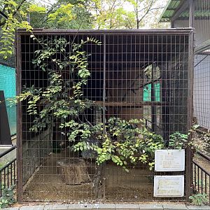 Black Kite Enclosure (Himeji City Zoo)