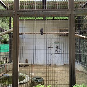 Honey Buzzard Enclosure (Himeji City Zoo)