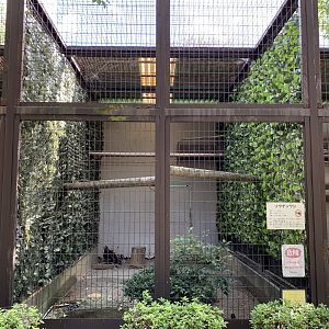 Steppe Eagle Enclosure (Himeji City Zoo)