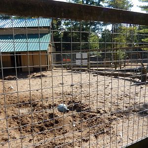 9/15/2025 - Warthog Habitat