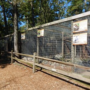 9/15/2025 - Pheasantry