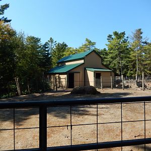 9/15/2025 - Bactrian Camel Paddock