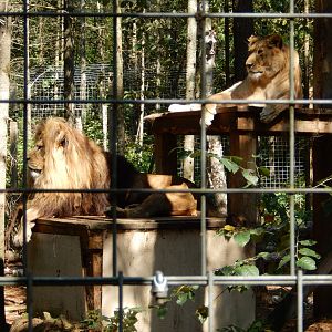 9/15/2025 - Vern and Lola