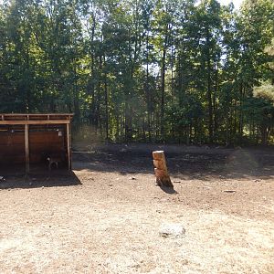 9/15/2025 - Sika Deer Habitat