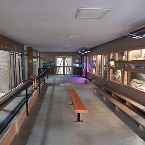 9/15/2025 - Tropical Building - General View