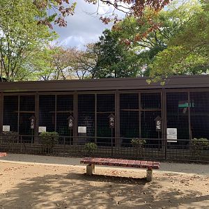 Raptor Aviaries (Himeji City Zoo)