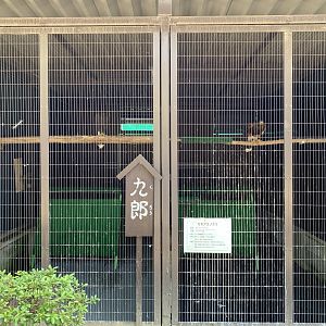 Harris’s Hawk Enclosure (Himeji City Zoo)