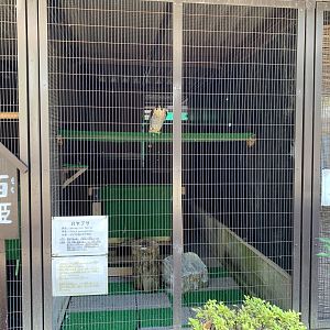 Peregrine Falcon Enclosure (Himeji City Zoo)