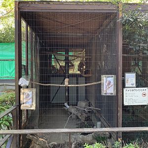 Collared Scops-Owl Enclosure (Himeji City Zoo)
