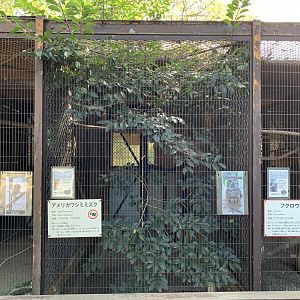 Great Horned Owl Enclosure (Himeji City Zoo)