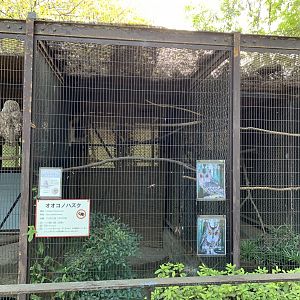Collared Scops-Owl Enclosure (Himeji City Zoo)