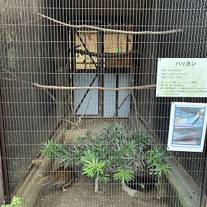 Silver Pheasant Enclosure (Himeji City Zoo)