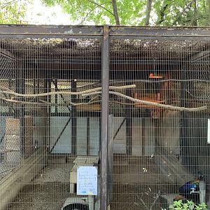 Himalayan Monal Enclosures (Himeji City Zoo)