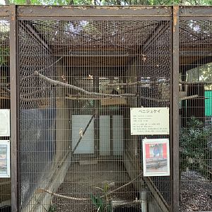 Green Pheasant Enclosure (Himeji City Zoo)