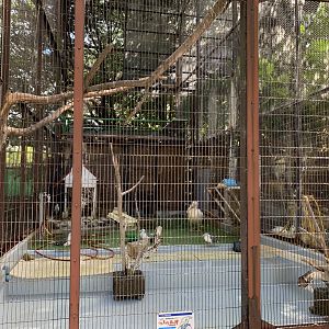 Sea Bird Aviary (Himeji City Zoo)