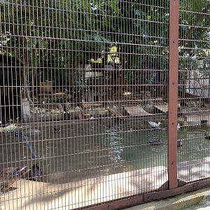 Duck Aviary (Himeji City Zoo)