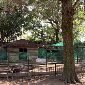 Honshu Sika Deer Enclosure (Himeji City Zoo)