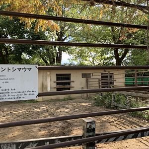 Zebra Enclosures (Himeji City Zoo)
