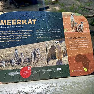 Meerkat Signage