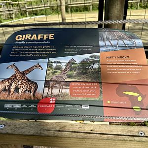 Giraffe Signage