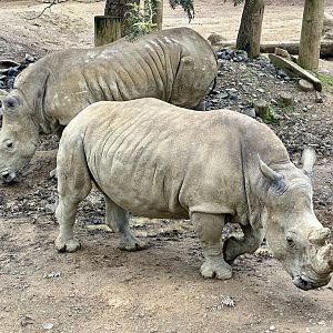 Kito and Zahra (Mother and Daughter)