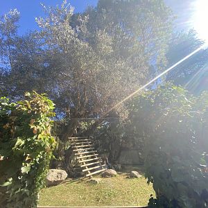 2nd view of red panda enclosure