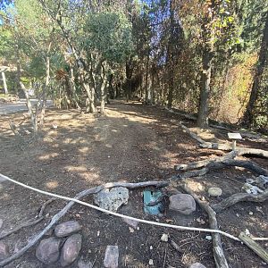 General view of muntjac and bird walkthrough