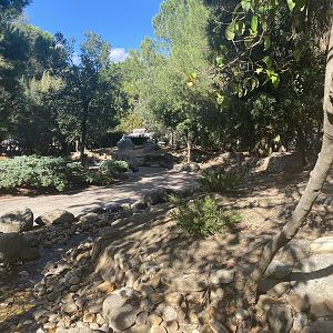 General view of muntjac and bird walkthrough 2