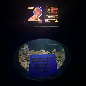 Empty reef stone Fish aquarium